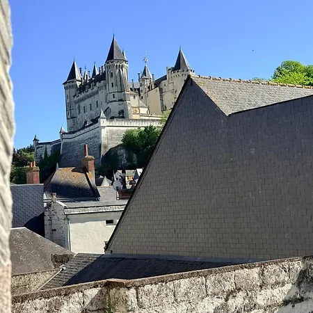Zebra Club Castle View And Gatsby Vibe ! Appartement Saumur